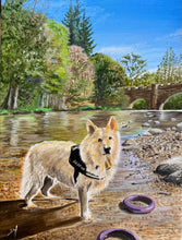 Load image into Gallery viewer, Landscape Commissions ~ Please click on the image to view the gallery.
